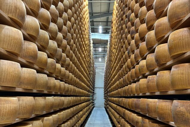 Emilia-Romagna Food Experience